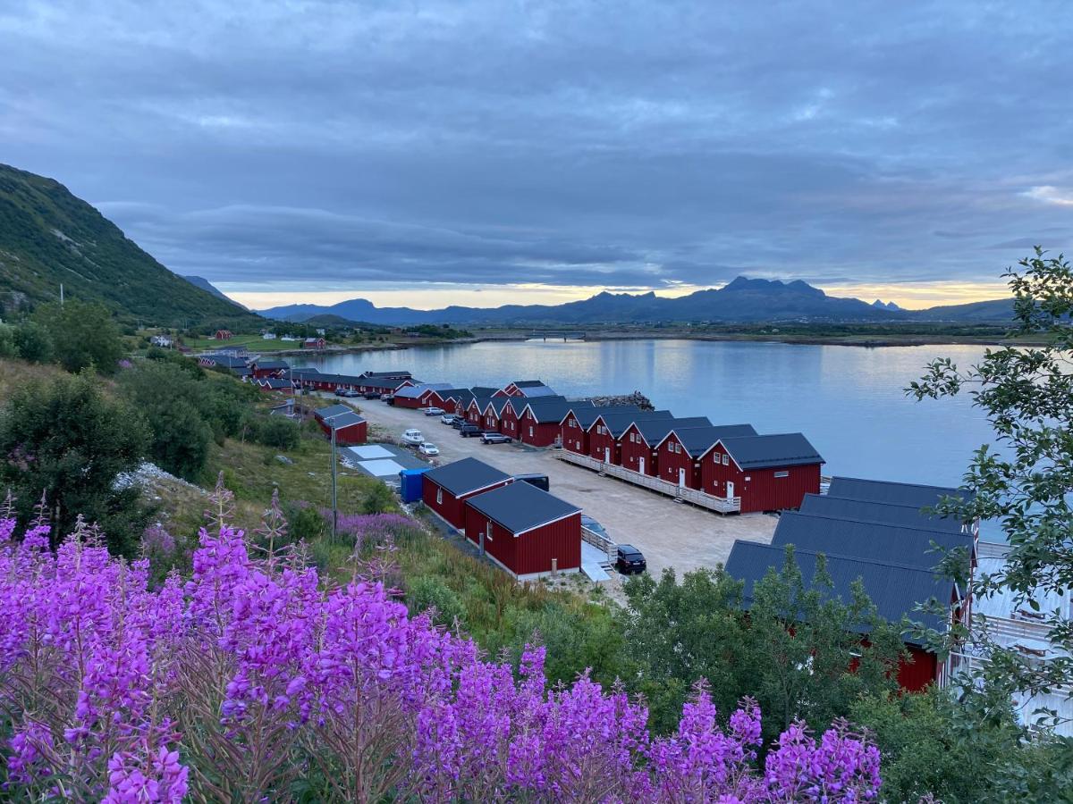 Rorbu I Lofoten Leknes Ngoại thất bức ảnh
