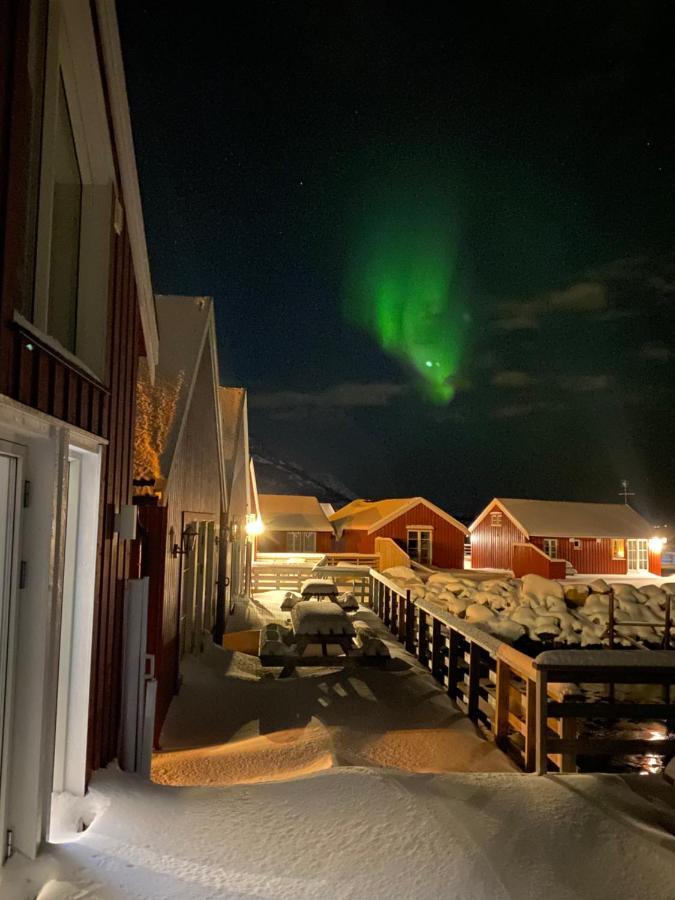 Rorbu I Lofoten Leknes Ngoại thất bức ảnh