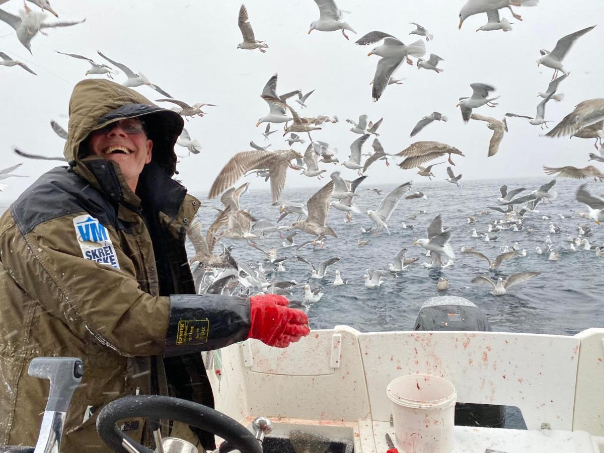 Rorbu I Lofoten Leknes Ngoại thất bức ảnh